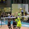 volley (39)
