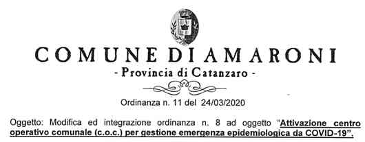 ordinanza n. 11 2020