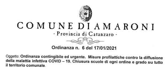 Ordinanza n. 6 del 17 01 2021