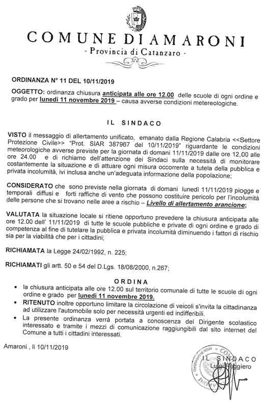 Ordinanza_n._11_2019